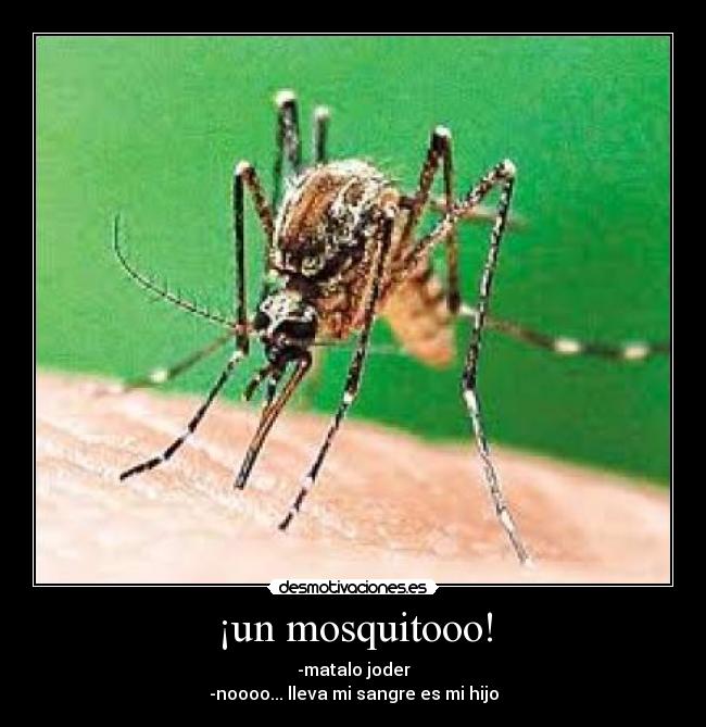 ¡un mosquitooo! -