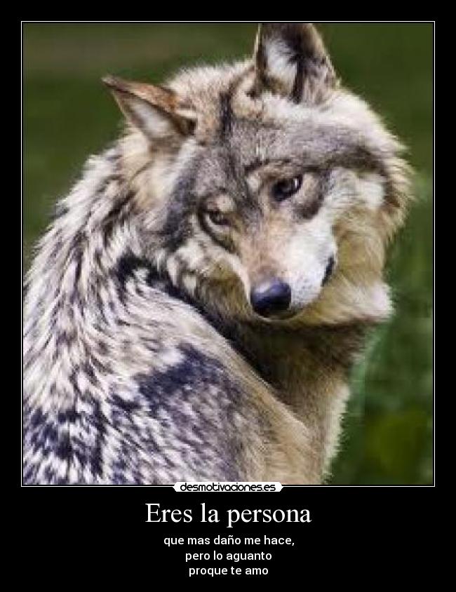 Eres la persona - que mas daño me hace,
pero lo aguanto
proque te amo