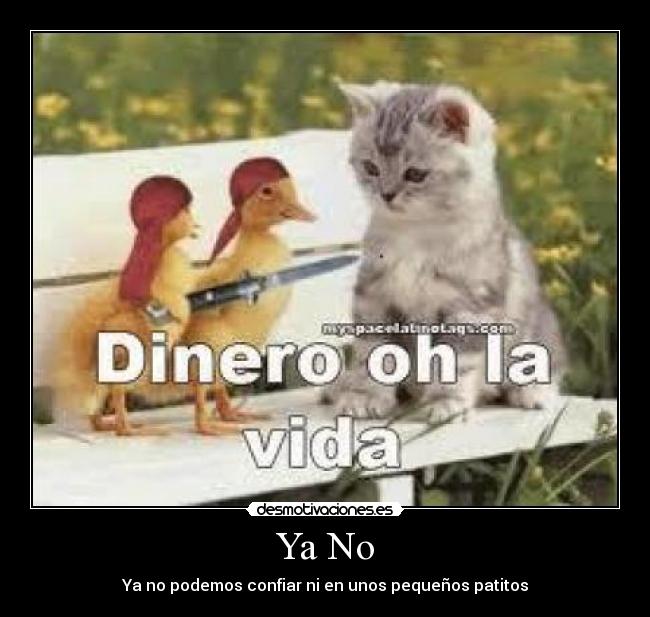 Ya No - Ya no podemos confiar ni en unos pequeños patitos