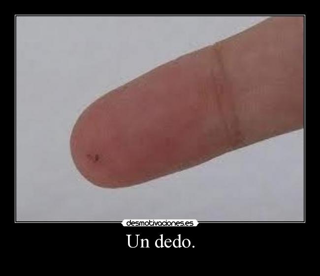 carteles miguel100one llaman mis colegillas desmotivaciones