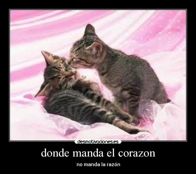 donde manda el corazon - 