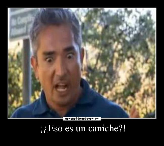 carteles aaaaaaaaaaaaaaaaaaaa desmotivaciones