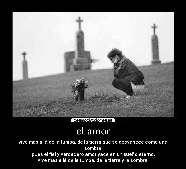 el amor -