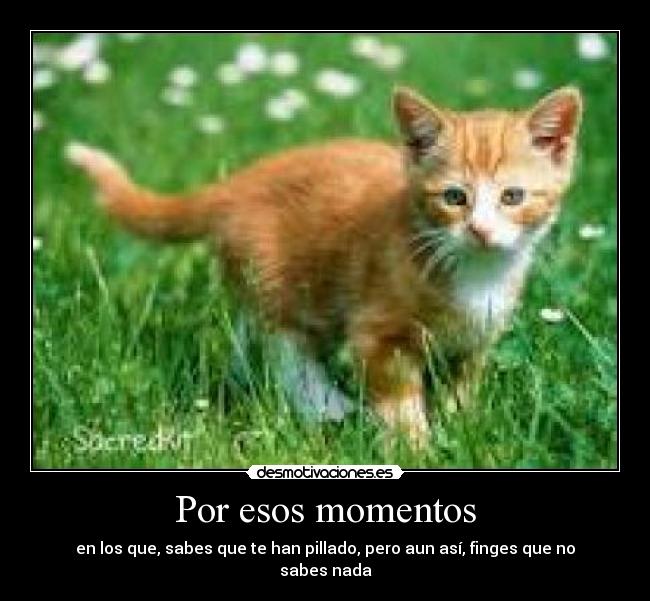 Por esos momentos - 