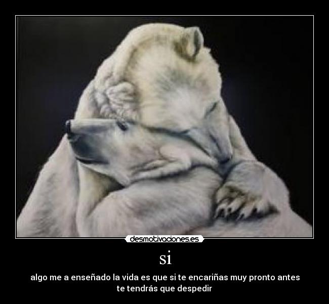 si - algo me a enseñado la vida es que si te encariñas muy pronto antes
te tendrás que despedir