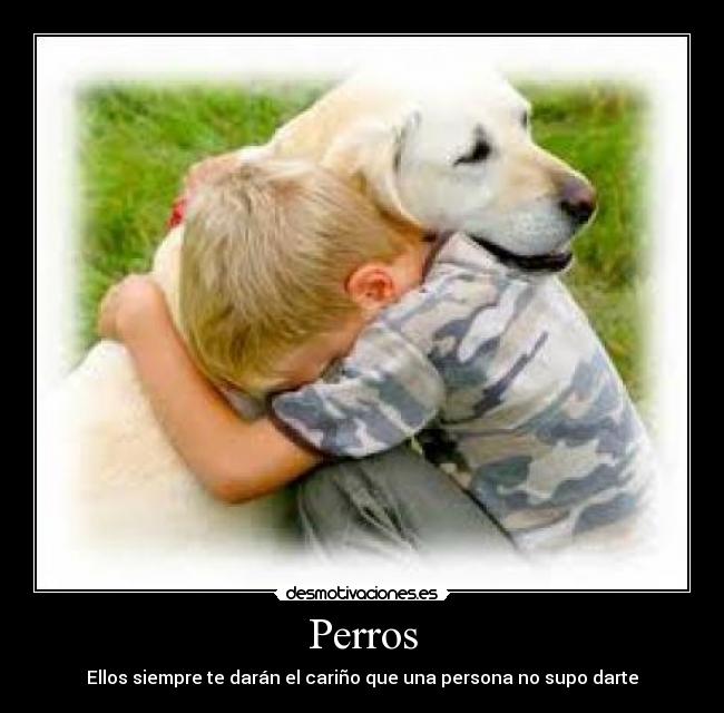 Perros - Ellos siempre te darán el cariño que una persona no supo darte