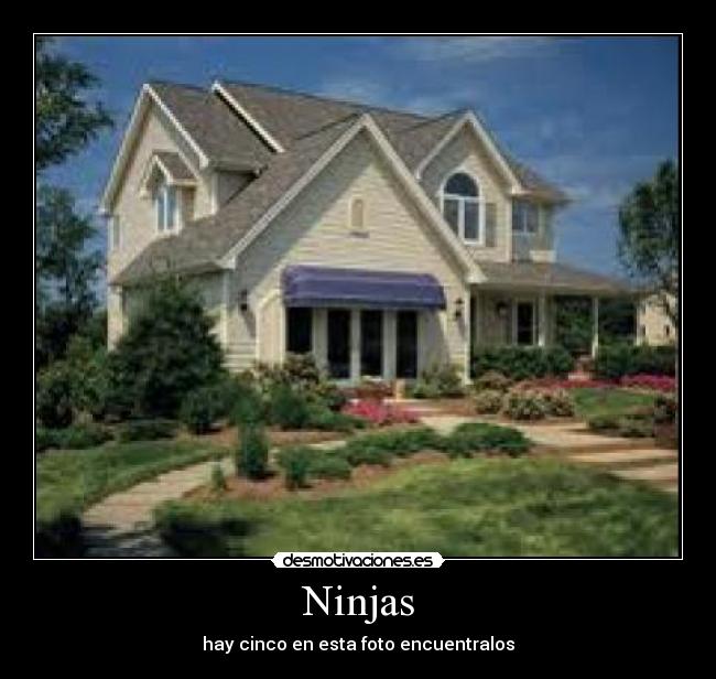 Ninjas - hay cinco en esta foto encuentralos