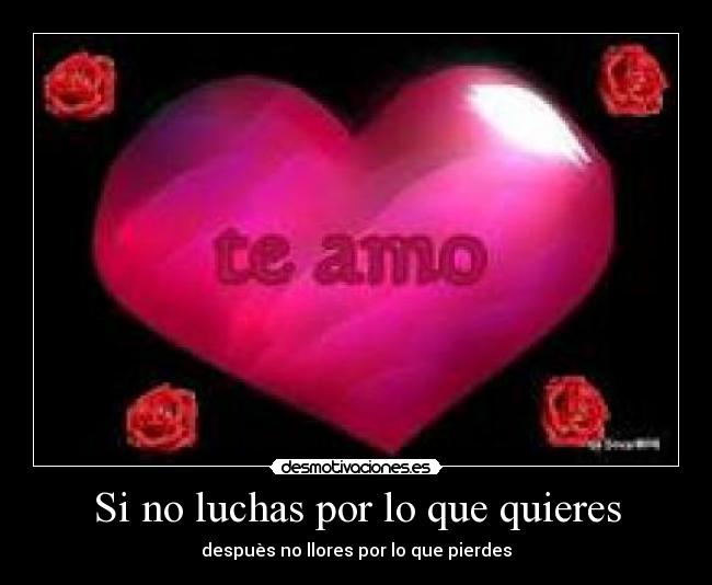 Si no luchas por lo que quieres - 