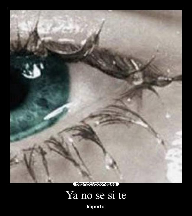 Ya no se si te - Importo.