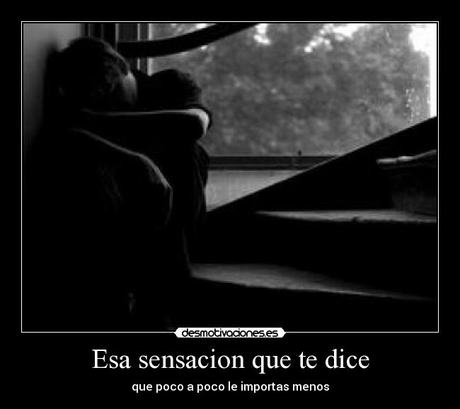 carteles esa sensacion que importas desmotivaciones