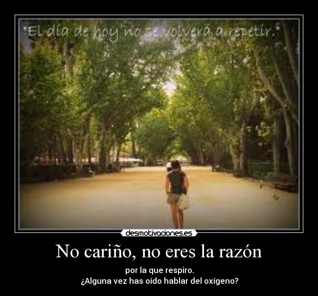 No cariño, no eres la razón - 