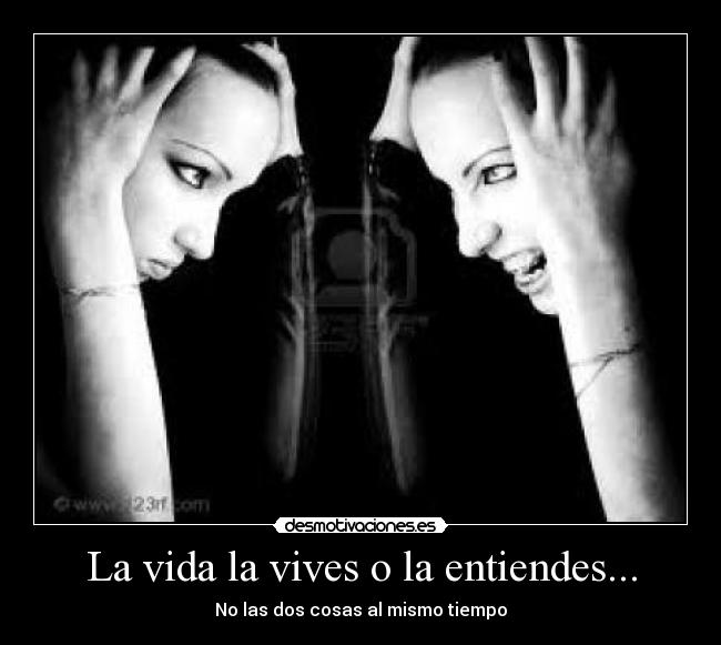 La vida la vives o la entiendes... - No las dos cosas al mismo tiempo