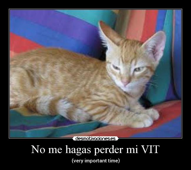 No me hagas perder mi VIT - (very important time)