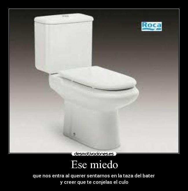 Ese miedo - que nos entra al querer sentarnos en la taza del bater 
y creer que te conjelas el culo