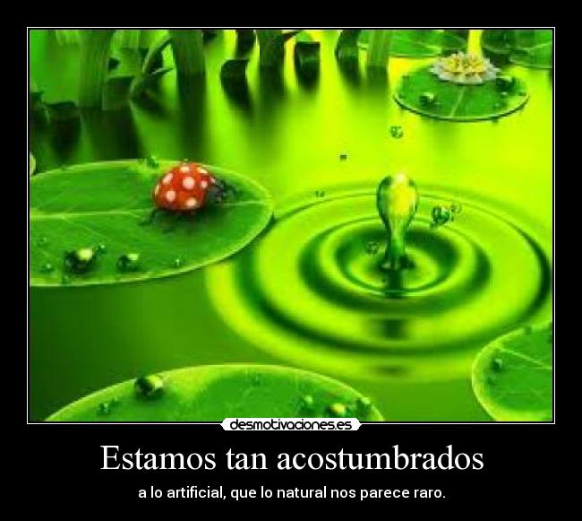 Estamos tan acostumbrados - a lo artificial, que lo natural nos parece raro.