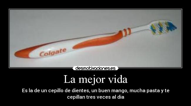 carteles vida mejor vida desmotivaciones