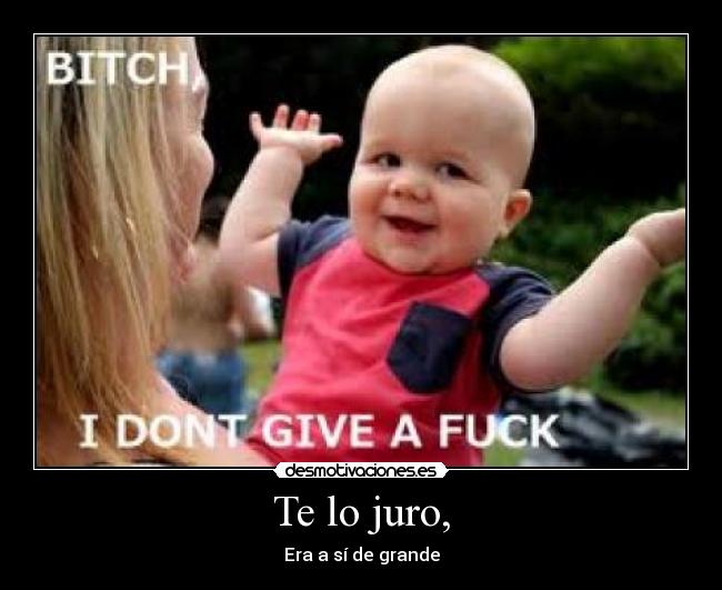 carteles lolololololo desmotivaciones