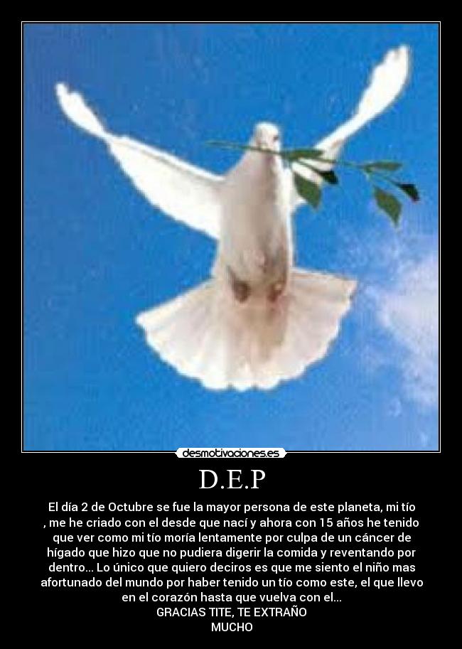 D.E.P - El día 2 de Octubre se fue la mayor persona de este planeta, mi tío
, me he criado con el desde que nací y ahora con 15 años he tenido
que ver como mi tío moría lentamente por culpa de un cáncer de
hígado que hizo que no pudiera digerir la comida y reventando por
dentro... Lo único que quiero deciros es que me siento el niño mas
afortunado del mundo por haber tenido un tío como este, el que llevo
en el corazón hasta que vuelva con el...
GRACIAS TITE, TE EXTRAÑO
MUCHO