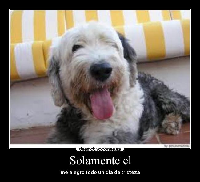 Solamente el - me alegro todo un día de tristeza