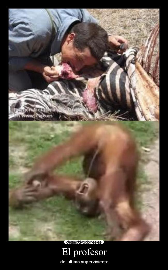 El profesor - del ultimo superviviente