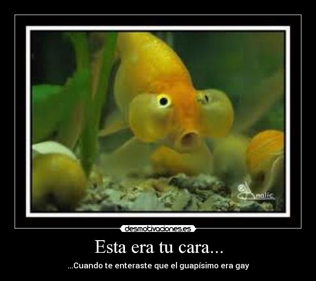 Esta era tu cara... - 