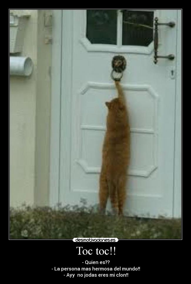 Toc toc!! - - Quien es??
- La persona mas hermosa del mundo!!
- Ayy  no jodas eres mi clon!!