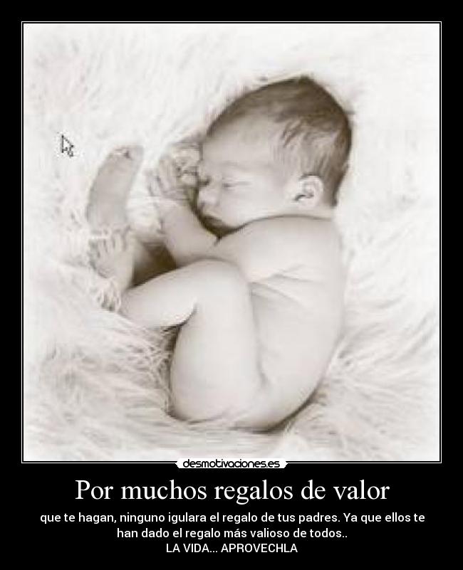 carteles aprovechalavida desmotivaciones