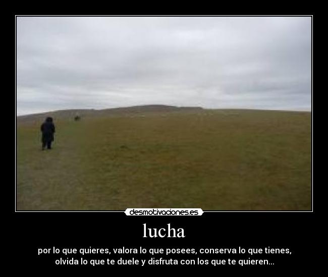 lucha -