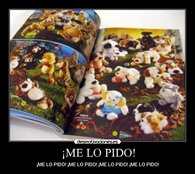 carteles pido desmotivaciones