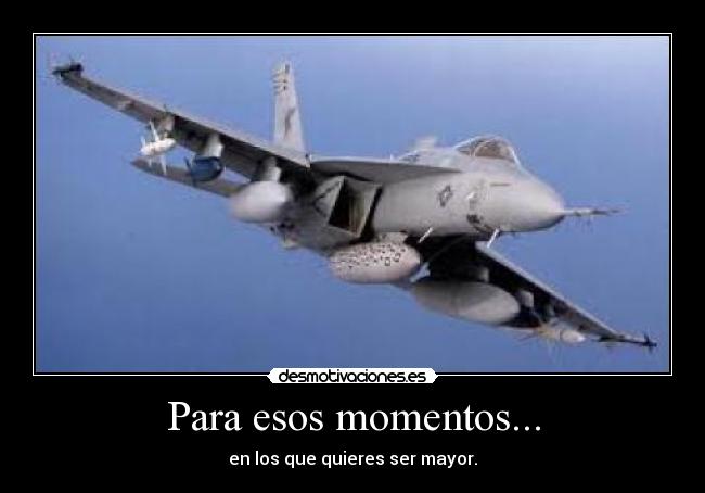 carteles bichicrack desmotivaciones