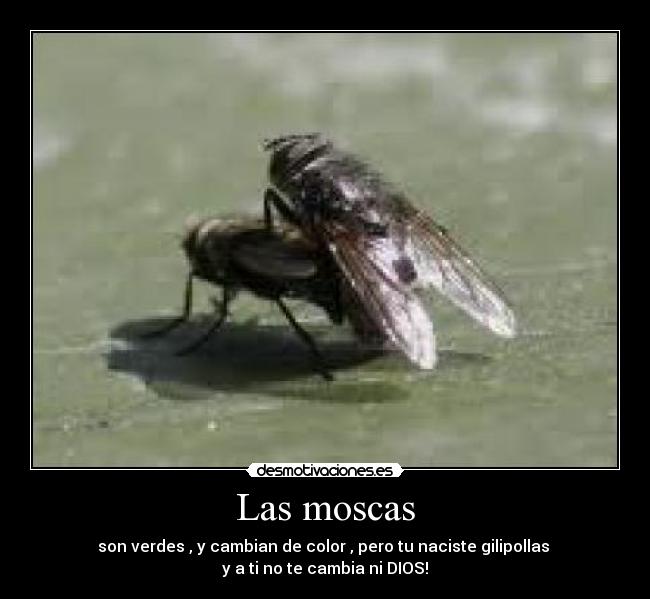 carteles resulta que desmotivaciones