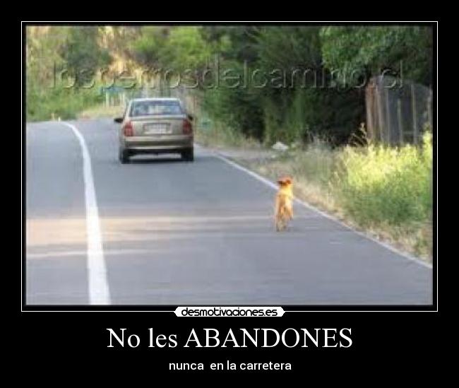 No les ABANDONES - nunca en la carretera