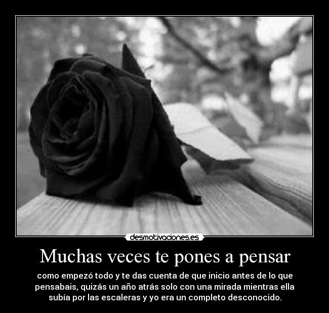 Muchas veces te pones a pensar - como empezó todo y te das cuenta de que inicio antes de lo que
pensabais, quizás un año atrás solo con una mirada mientras ella
subía por las escaleras y yo era un completo desconocido.