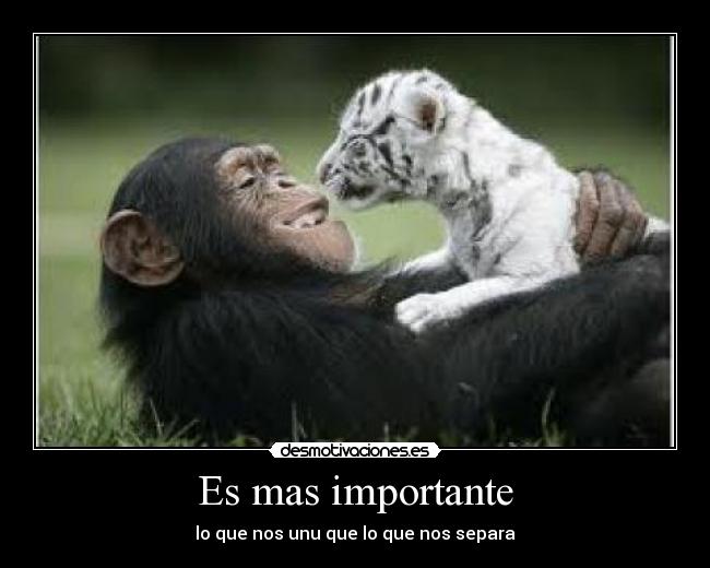 carteles mas importante desmotivaciones