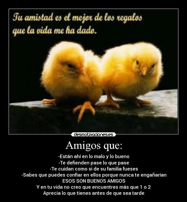 Amigos que: - -Están ahí en lo malo y lo bueno
-Te defienden pase lo que pase
-Te cuidan como si de su familia fueses
-Sabes que puedes confiar en ellos porque nunca te engañarían
ESOS SON BUENOS AMIGOS
Y en tu vida no creo que encuentres más que 1 o 2
Aprecia lo que tienes antes de que sea tarde