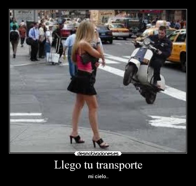 Llego tu transporte - 