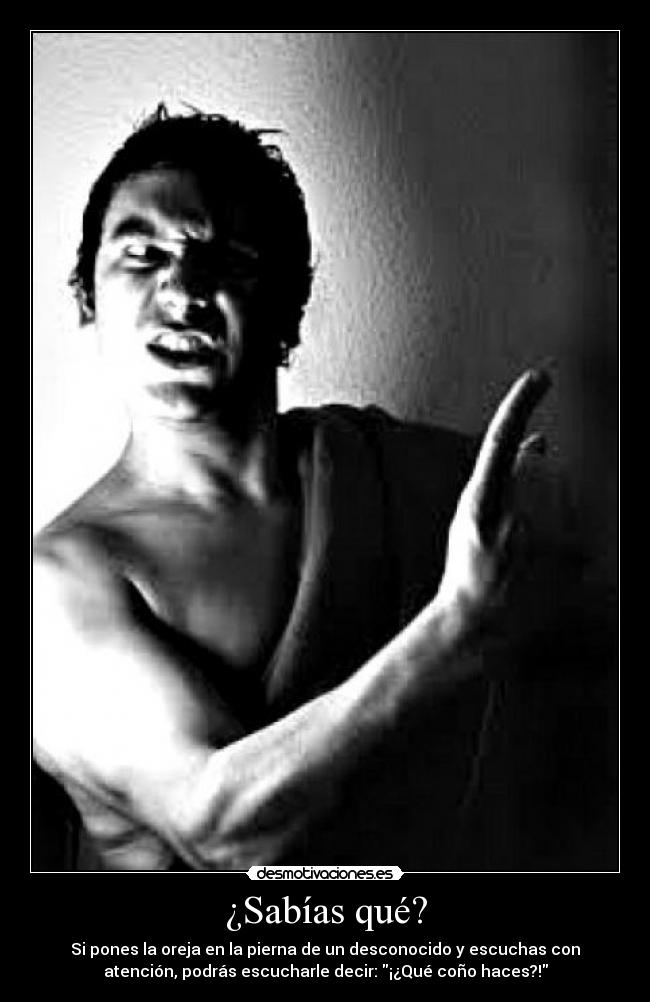 ¿Sabías qué? - Si pones la oreja en la pierna de un desconocido y escuchas con
atención, podrás escucharle decir: ¡¿Qué coño haces?!