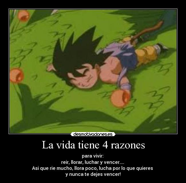 La vida tiene 4 razones -