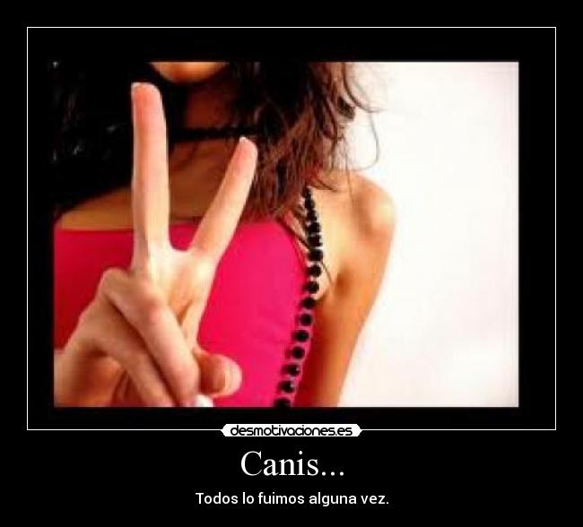 Canis... - 