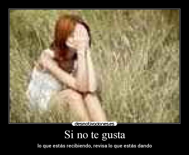 Si no te gusta - 
