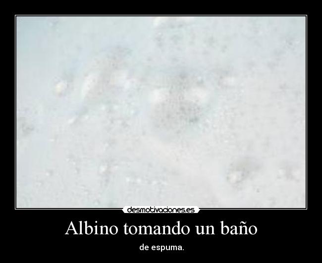 carteles albino desmotivaciones