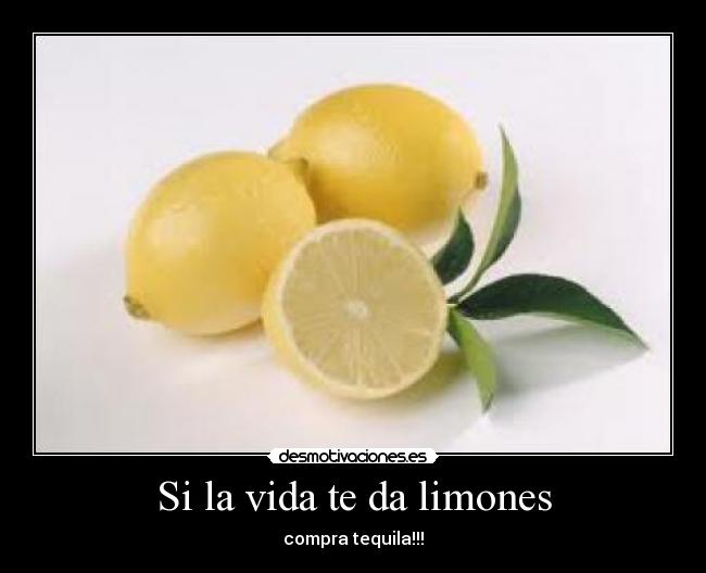 carteles vida limon tequila desmotivaciones