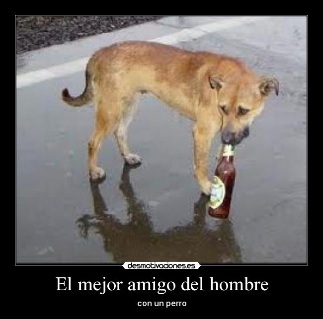 El mejor amigo del hombre - 