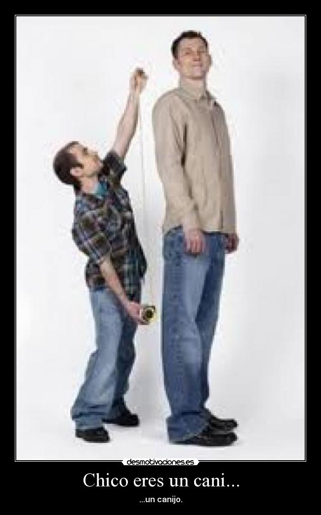 Chico eres un cani... - ...un canijo.