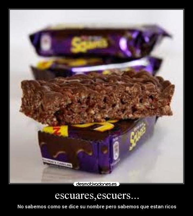 escuares,escuers... - No sabemos como se dice su nombre pero sabemos que estan ricos