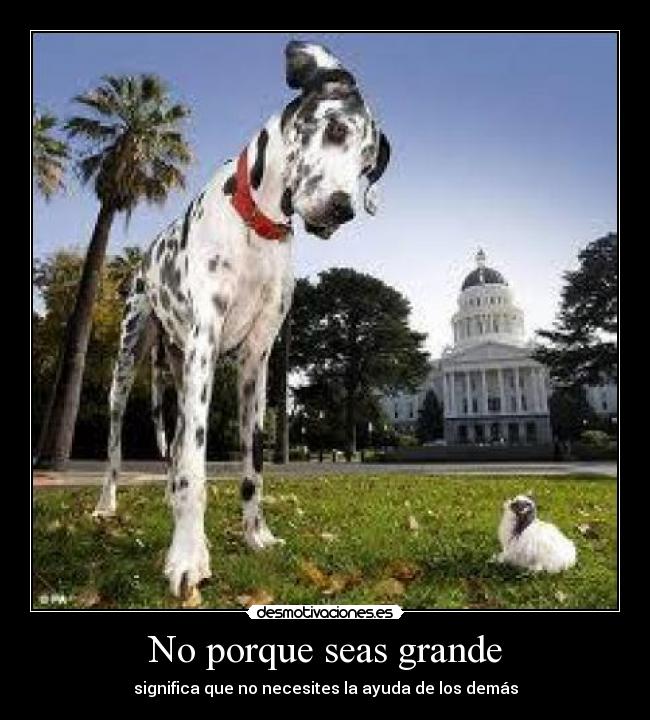 No porque seas grande - 