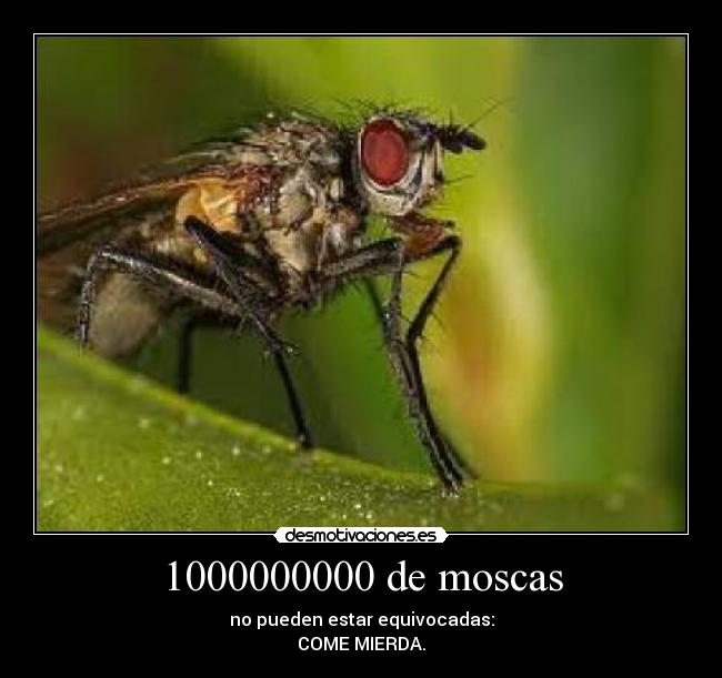 1000000000 de moscas - no pueden estar equivocadas:
COME MIERDA.