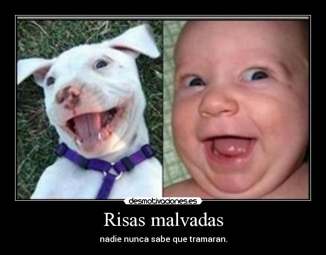 Risas malvadas - 