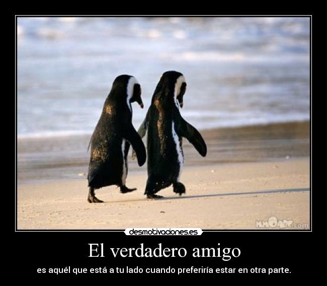 El verdadero amigo - 