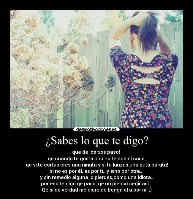 carteles titi desmotivaciones